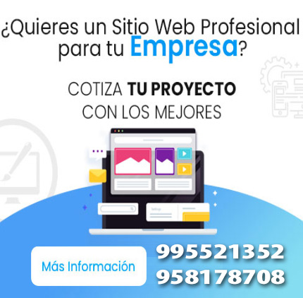 tecnicos de computadoras de puno