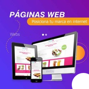 diseño web puno